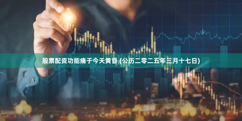 股票配资功能痛于今天黄昏 (公历二零二五年三月十七日)