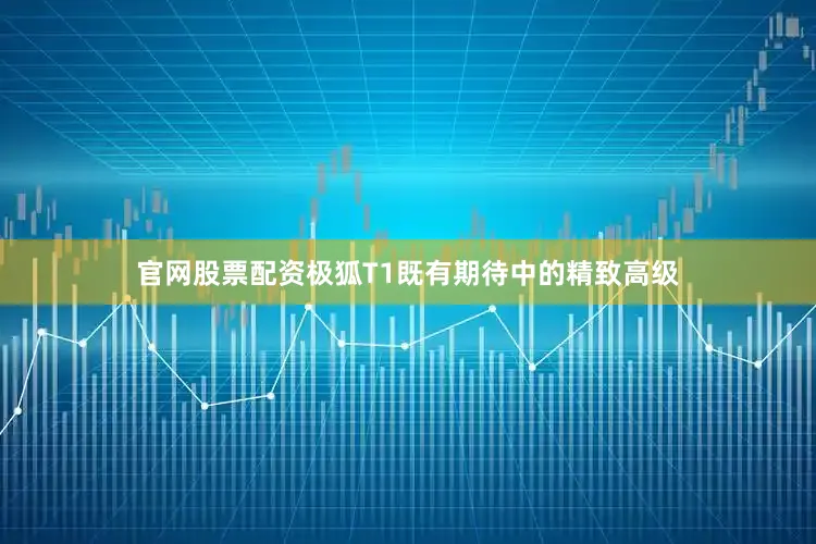 官网股票配资极狐T1既有期待中的精致高级