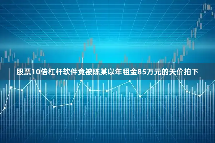 股票10倍杠杆软件竟被陈某以年租金85万元的天价拍下